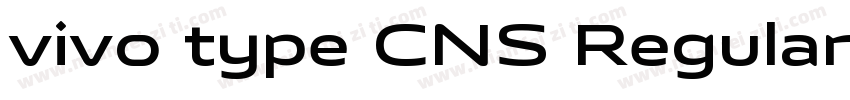 vivo type CNS Regular字体转换